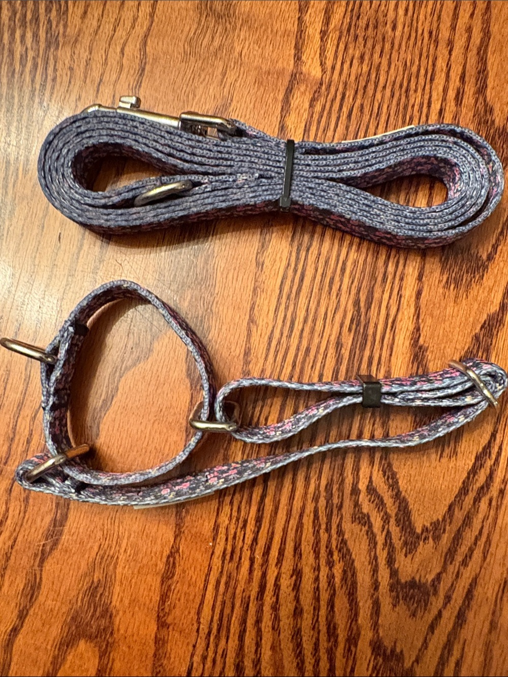 Lucky Brand Gray Floral Dog Leash and Harness Set with Pink Accents
